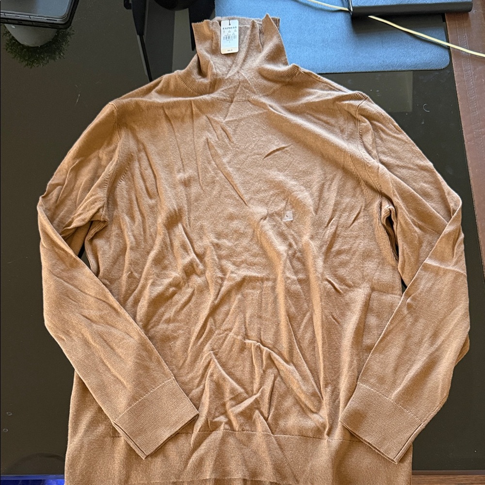 Express Men's Camel Turtleneck Sweater